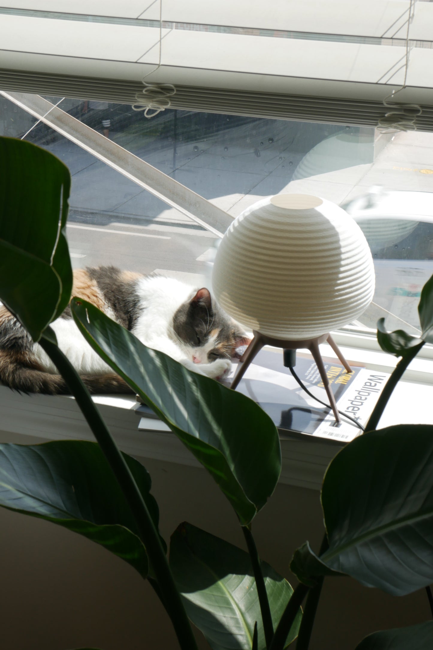 Ambient Table Lamp | Corrugated Shell Design | OMRA.2